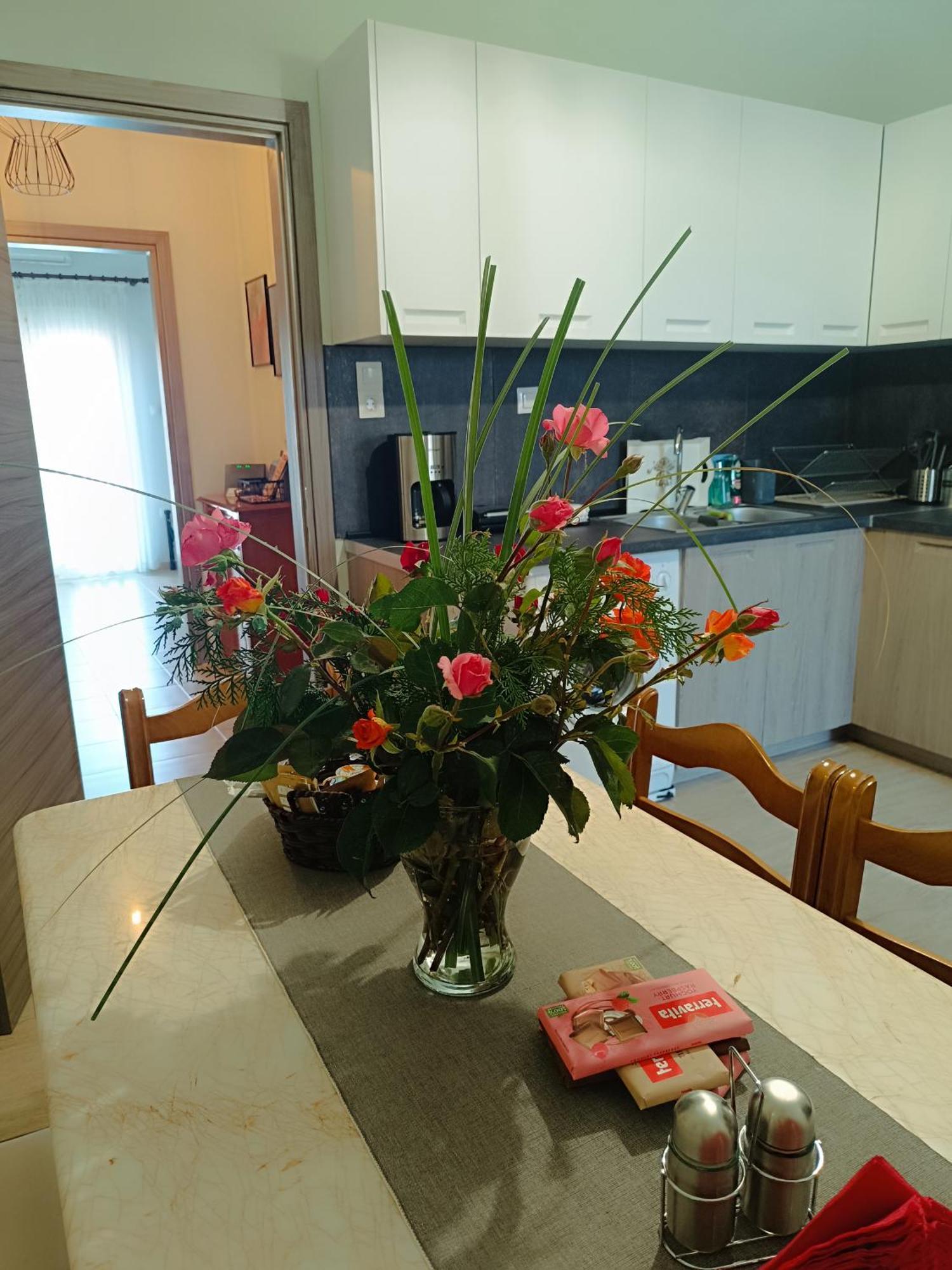 Panos House - High Luxury Apartment Trikala  Luaran gambar